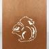 Greeting Card: Pop-up squirrel