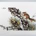 Greeting Card: Print of a Stephen Lowe Painting