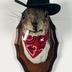 Taxidermy: Cowboy squirrel